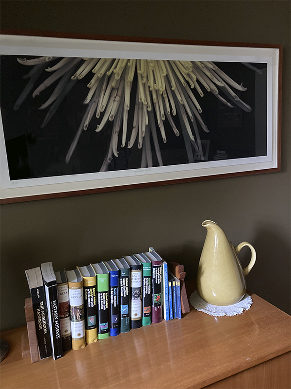 Harwinton, Connecticut