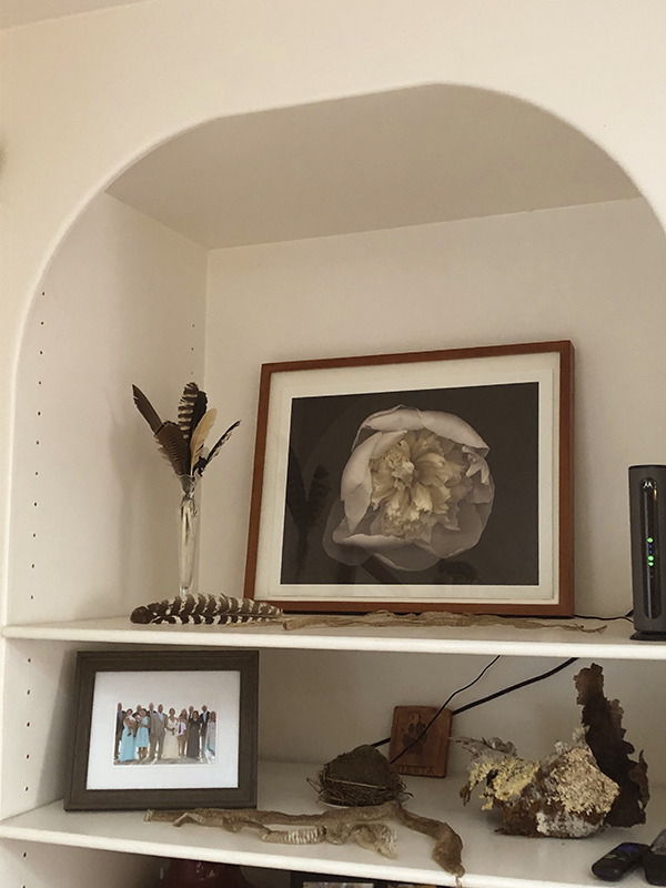 Santa Cruz, California