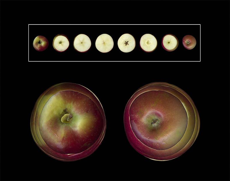 149 McIntosh Black '21