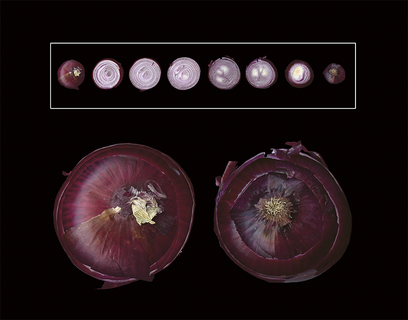 133 Red Onion Black '21