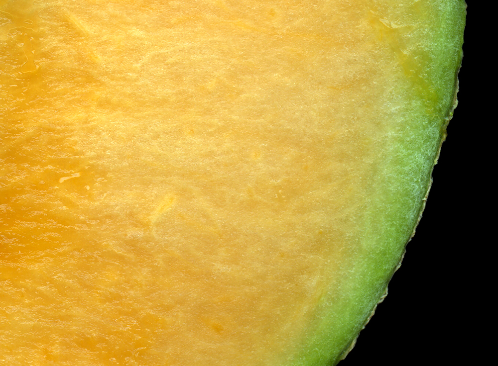 005 Cantaloupe Slice '20