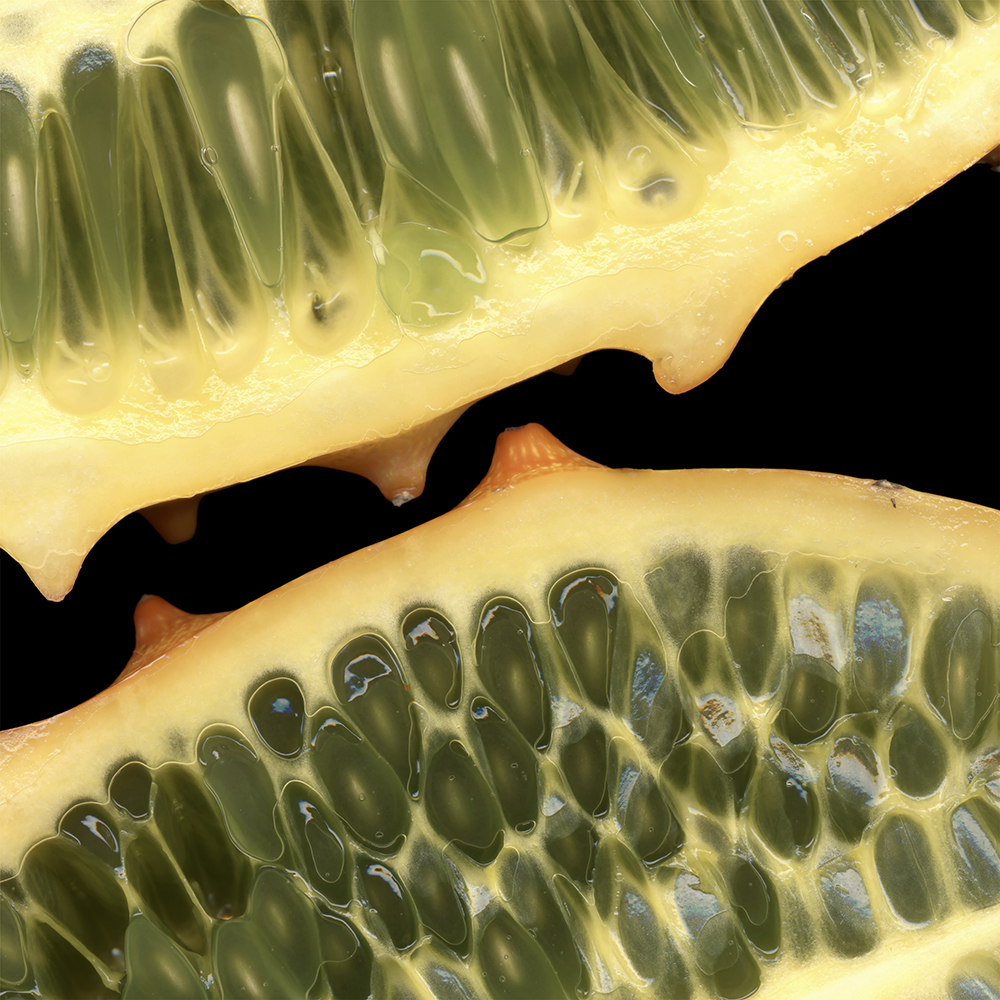 068 Horned Melon Halved '04