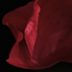 084 Red Peony Curl '05