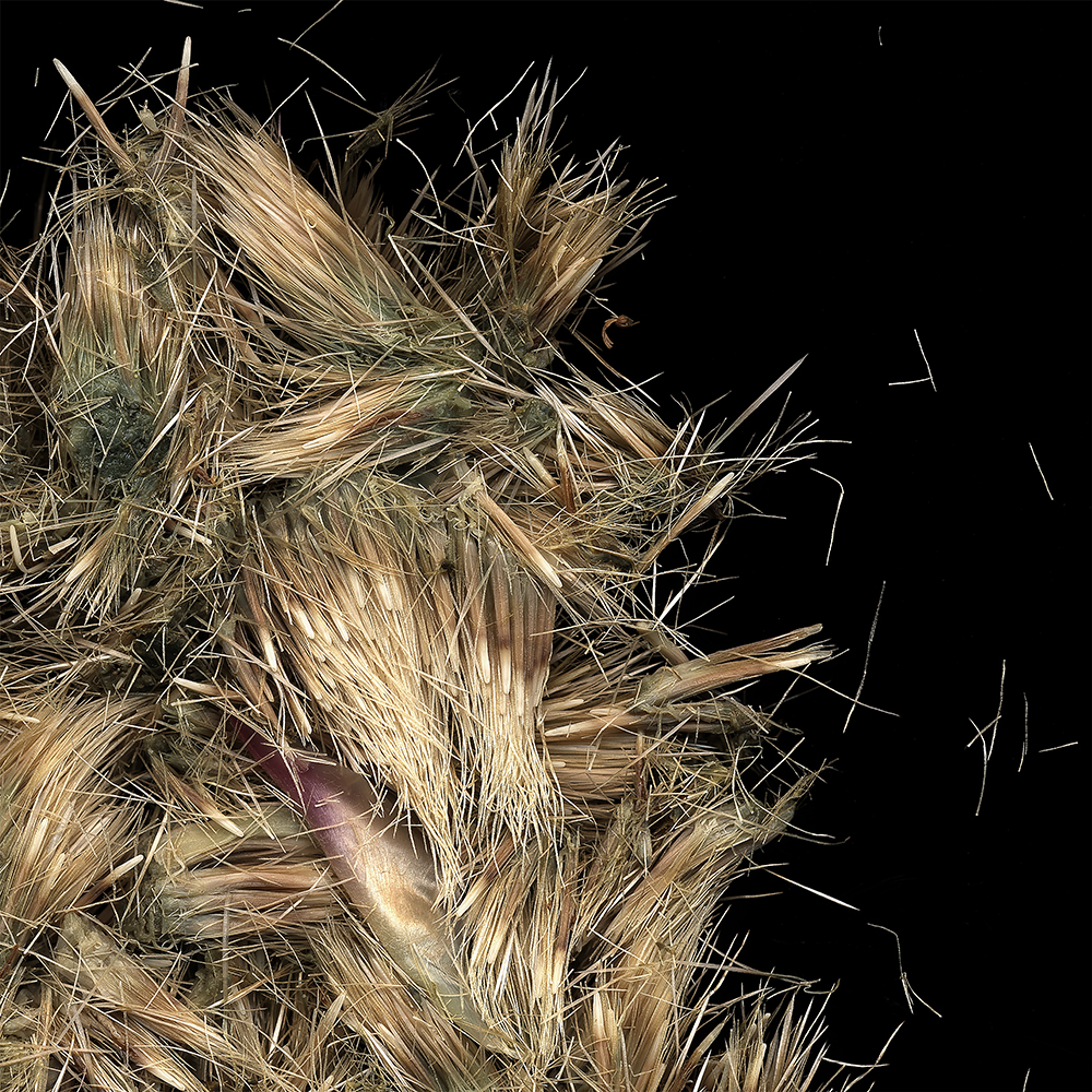 057 Choke Scatter '03