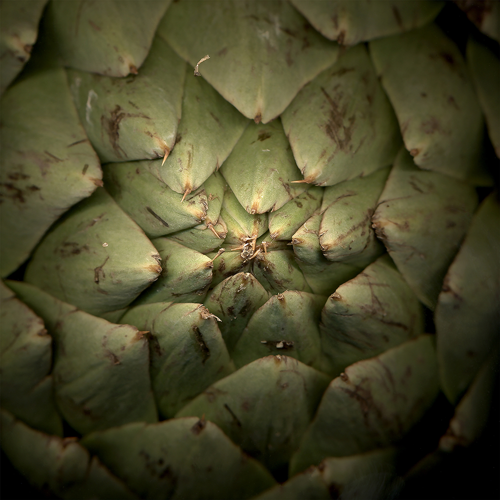 051 Artichoke Sphere '03